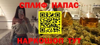 гидра Кингисепп