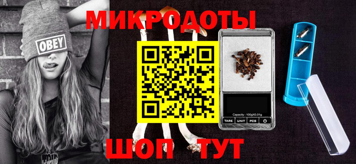 Псилоцибиновые грибы прущие грибы Коммунар